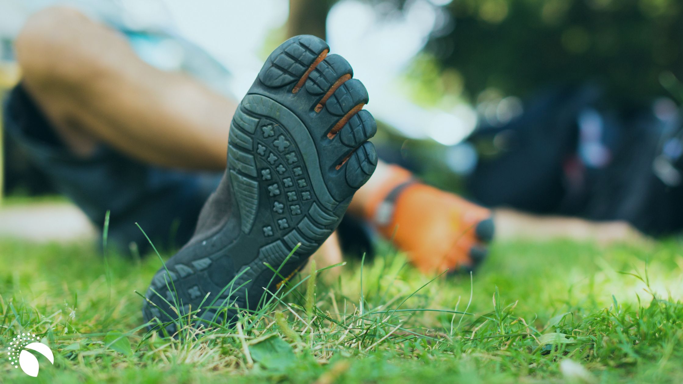 How long does it take to transition to barefoot shoes? - Proactive  Rehabilitation & Wellness